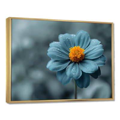 «Blue Grey Natures Marigold Photo», art mural souci