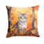 Coussin European European Shorthair-112679491