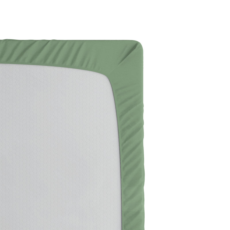Multicolore drap-housse de teckel Ambesonne, Drap-housse de taille très grand