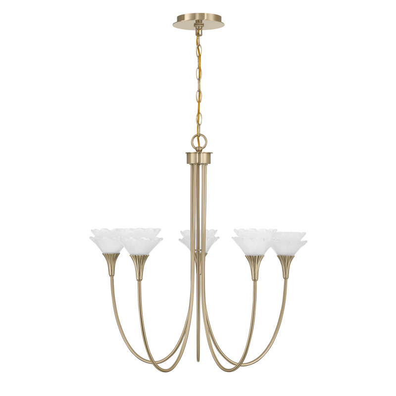 Florena 5-Light Chandelier in Noble Brass by Breegan Jane