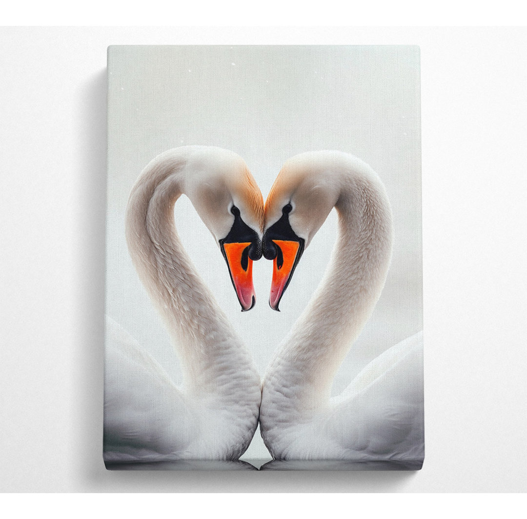 Schwan Liebe Herz Canvas Druck