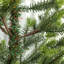 Arbre de Noël artificiel 9 pi avec base en acier, 4306 pointes et éclairage à DEL polyvalent pour un décor festif