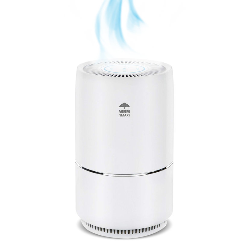 WBM Smart Air Purifier for 1440 Cubic Feet, True HEPA Filter for Allergens, Mould, and Germs