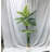 Multiple Palm Trees Used For Home Decoration-1909959453