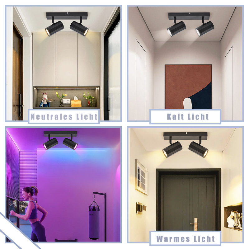Maudine 2-Light 26cm Ceiling Spotlight