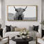 «Animals Highland Cow», portrait en noir et blanc sur toile-111176158-98042249