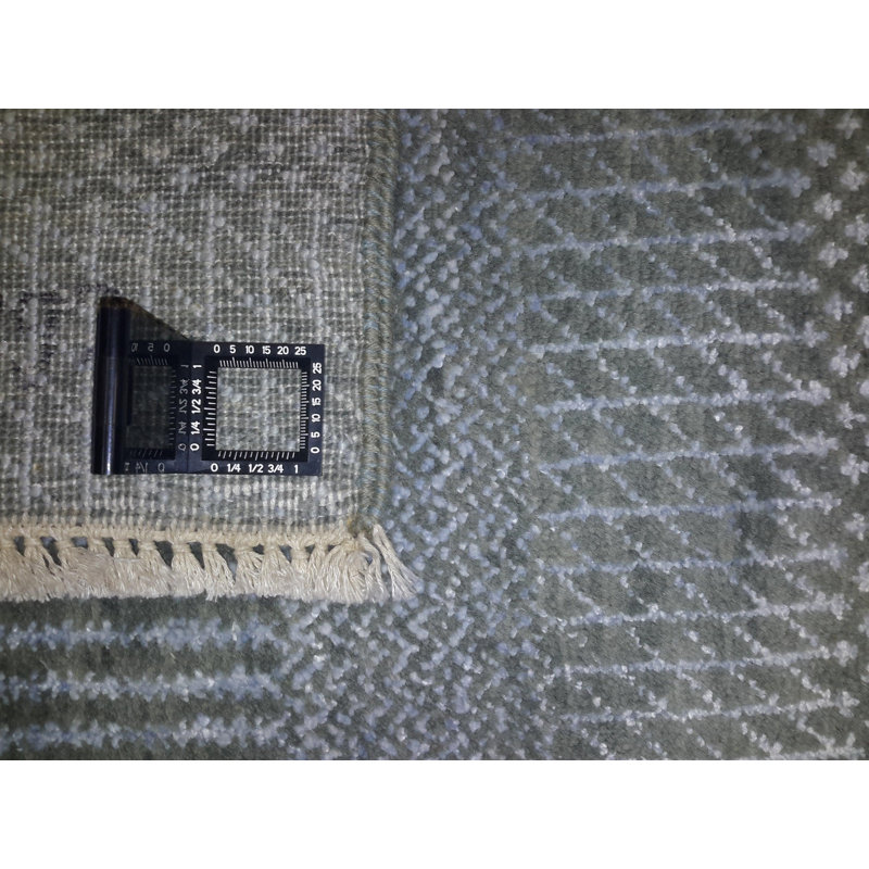 Pagola Area Rug in Blue
