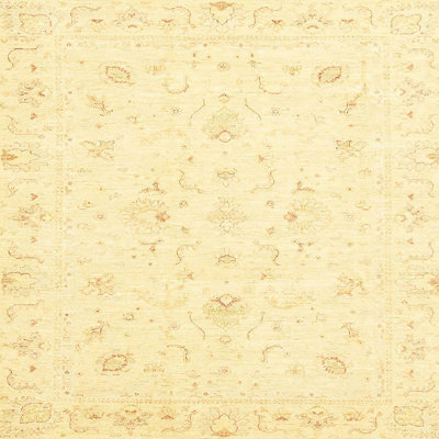 Oriental Indoor Rug