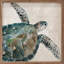 «Neutral Turtle I» par Carol Robinson-196382869