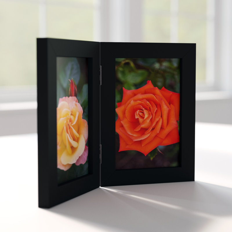 Jeremya Black Picture Frame with Mat