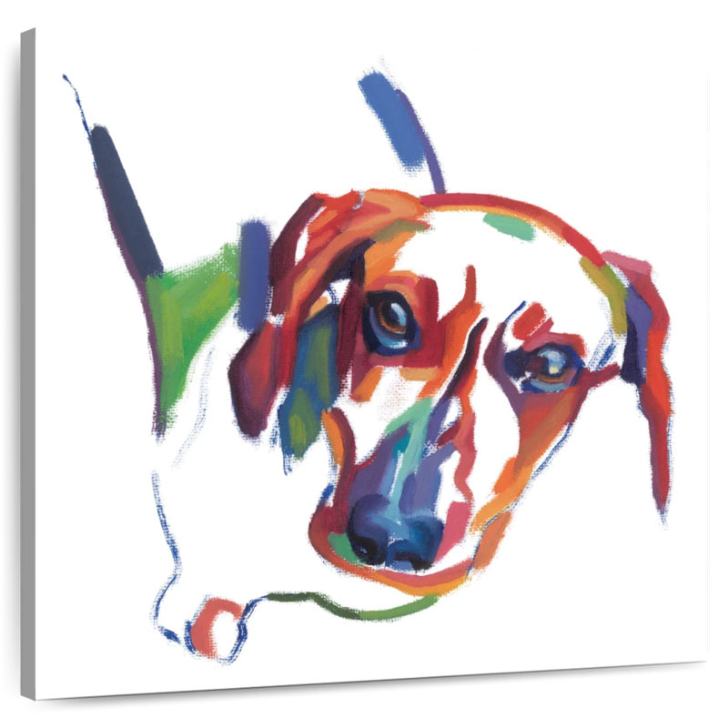 Crowle Dachshund Couleurs
