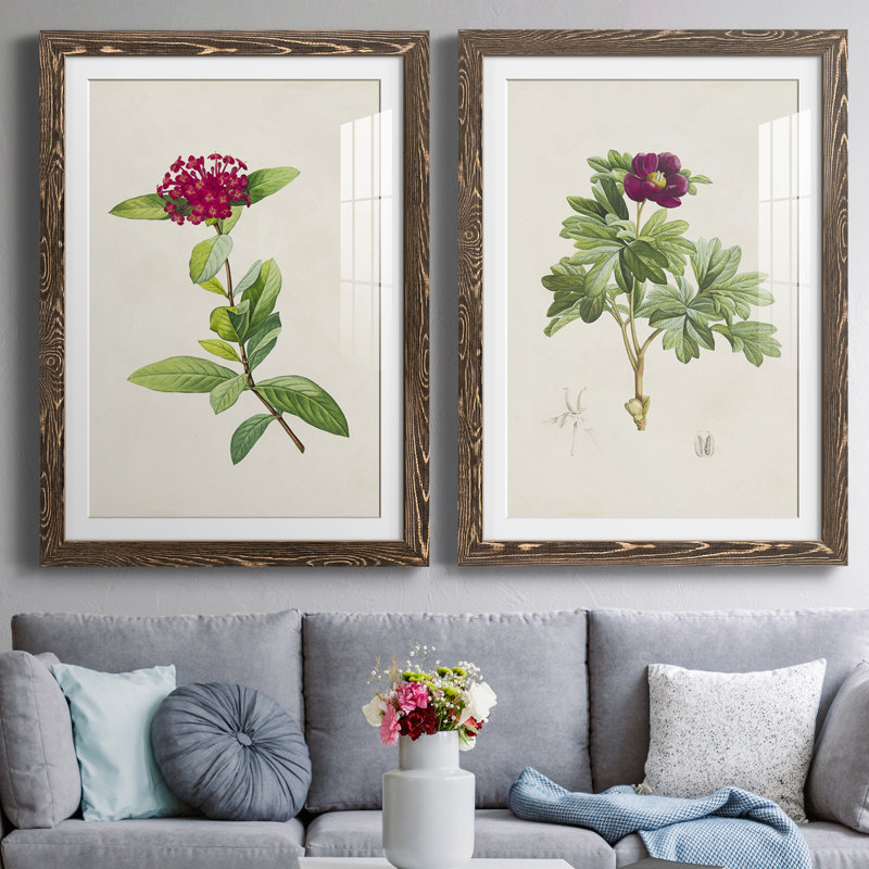 " Pretty Pink Botanicals II " 2 - Pieces Painting Print, Walnut Framed, 43.5" H x 17" W x 1" D