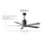 Patricia 60'' Ceiling Fan with LED Lights-257734827-161276085
