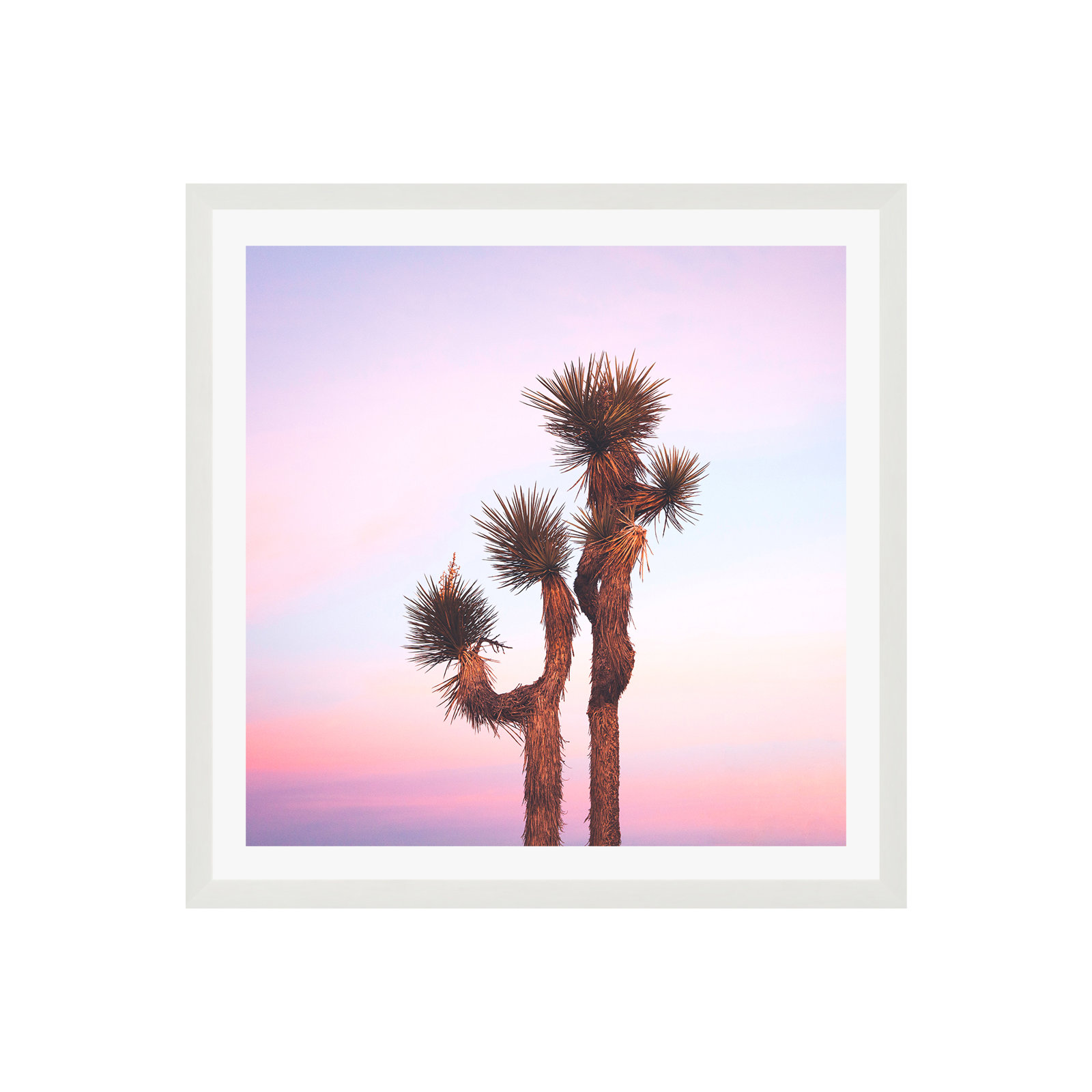Desert Skies by Catherine McDonald, 12" H x 12" W x 0.75" D, Yes, White Single Picture Framed
