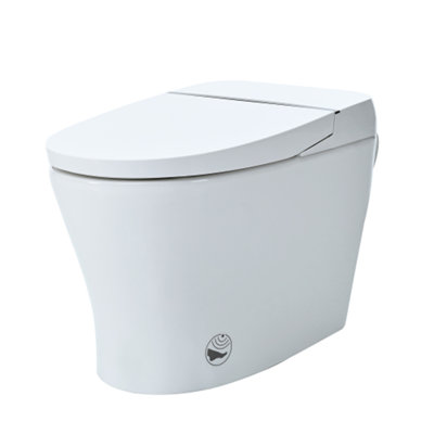 Heated Seat Smart Dual-Flush Toilet without Bidet