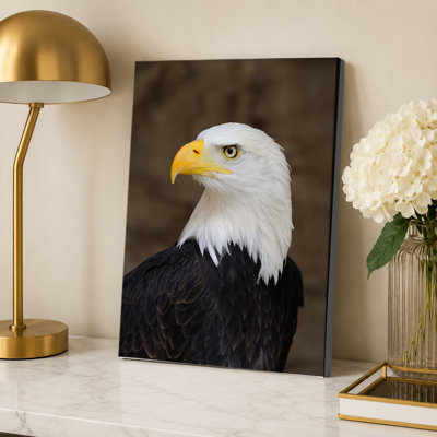 Bald Eagle Poster Bald Eagle Portrait Poster