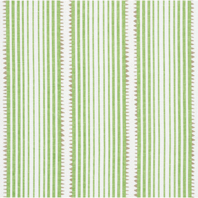 Tissu Schumacher x David Oliver Moncorvo
