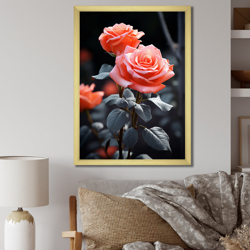 «Peach Roses Coral Serenade At Black», impressions sur toile florales, H 44 po x l 34 po x P 1,5 po, Encadrement doré