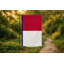 Drapeau de l'État de la Caroline du Nord — Drapeau extérieur-2140864340