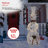 Christmas Decoration-93656381-93656378