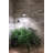 Williamson 1 - Light Concrete Single Pendant-1464747059