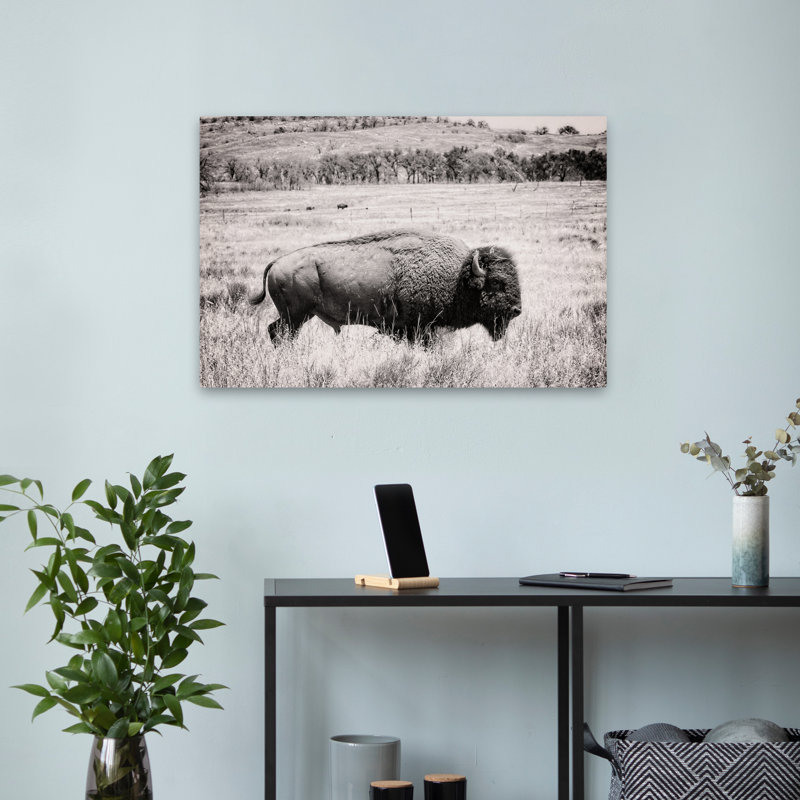Contemporary Buffalo I BW, H 24 po x l 16 po