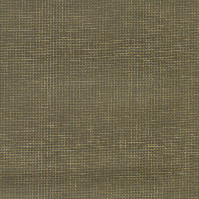 Grass Cloth Roll