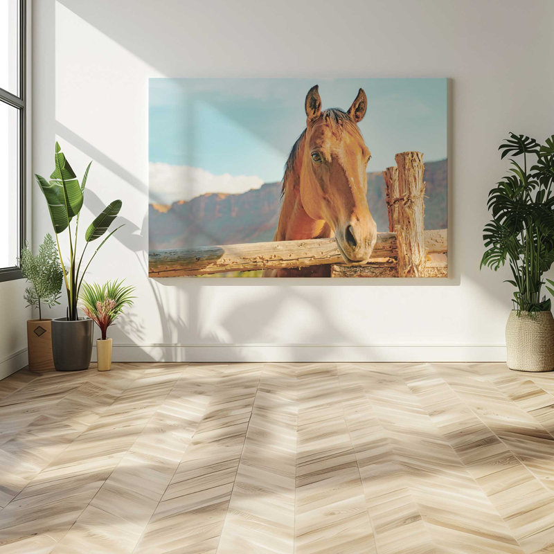 «Equestian Solace», grande impression sur toile, H 36 po x l 54 po