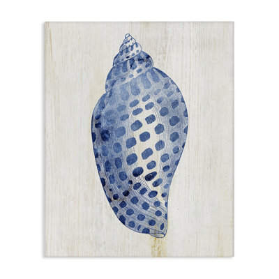 Spotted Blue Cowrie Shell Canvas, design by Susan Arnot