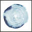 «Tree Ring Overlay III» par Grace Popp - peinture encadrée-131861946-24570338