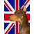 Doberman 4 sélectionné