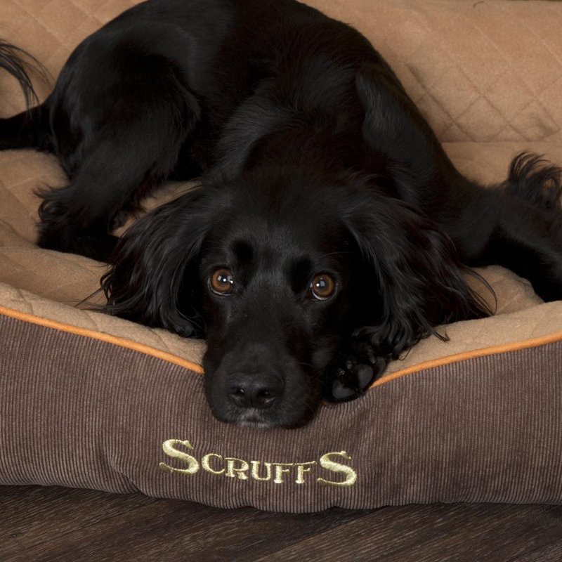 Polyester Pet Bed, Brown, 17.5cm H x 60cm W x 50cmD