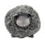 Mongolian Curly Lambskin Plush Sheep Pillow-86436540