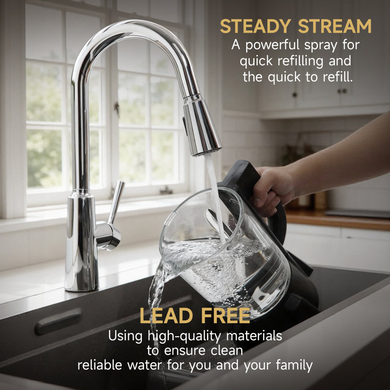 Single Handle Kitchen Faucet with Pull Down Sprayer, Chrome