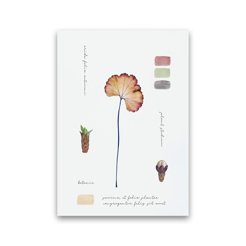 Botanic Notes - Print, Unframed, 42cm H x 30cm W x 1cm D