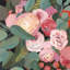 «Eucalyptus Bouquet II», peinture sur toile tendue-97703002