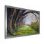 Vue originale de l'huile d'une grande rangée d'arbres Chamchuri - peinture sur toile-67383047-67383035
