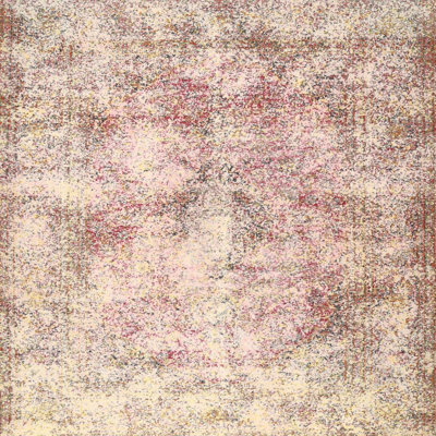 Oriental Indoor Rug