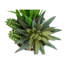 Plante artificielle