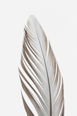 Wrapped Canvas Print, 91.44 cm H x 60.96 cm W