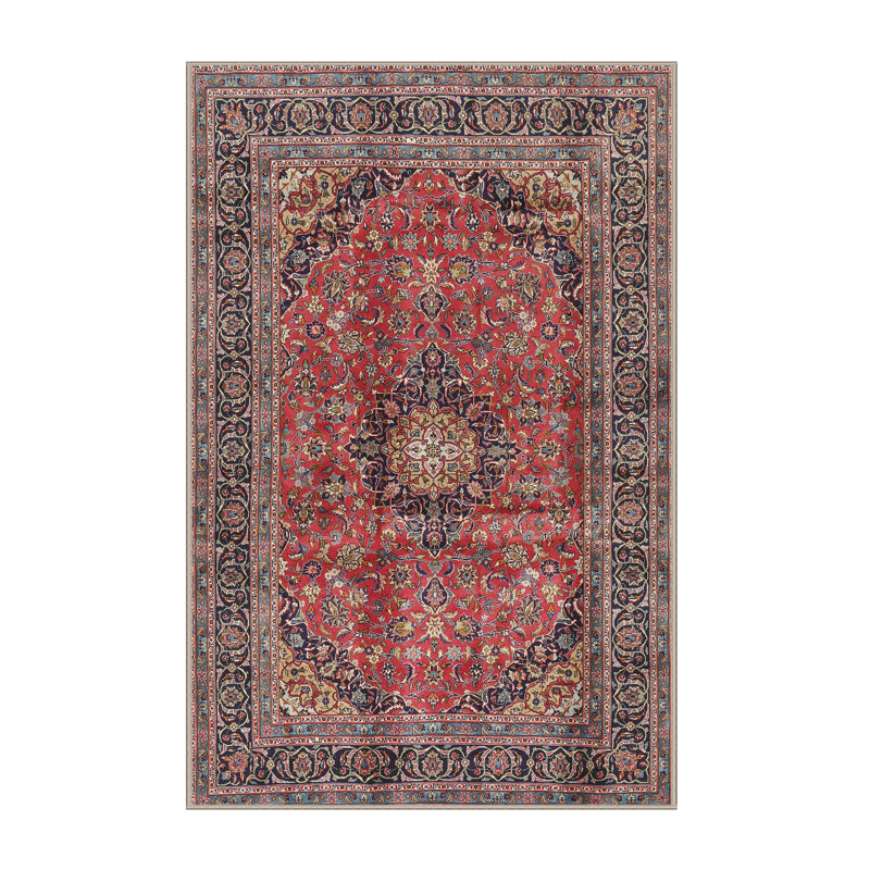 Crenwick Performance Oriental Indoor Rug, Rectangle 4' x 6'