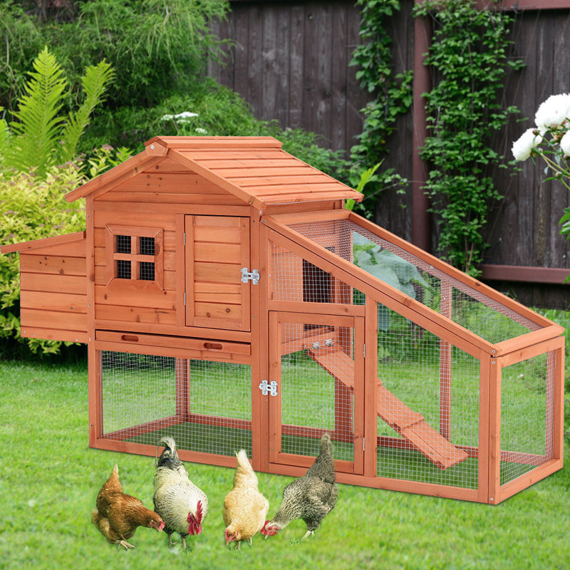 Mouse Cage