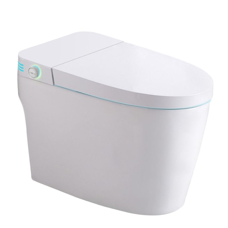 Toilette à bidet allongée VIBRANTBATH GPF (siège inclus)