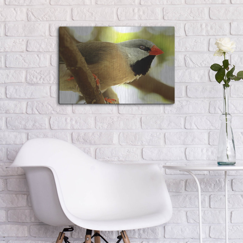  «Orange Tip» par Dana Brett Munach, art mural en métal, 36 po x 24 po, H 16 po x l 24 po