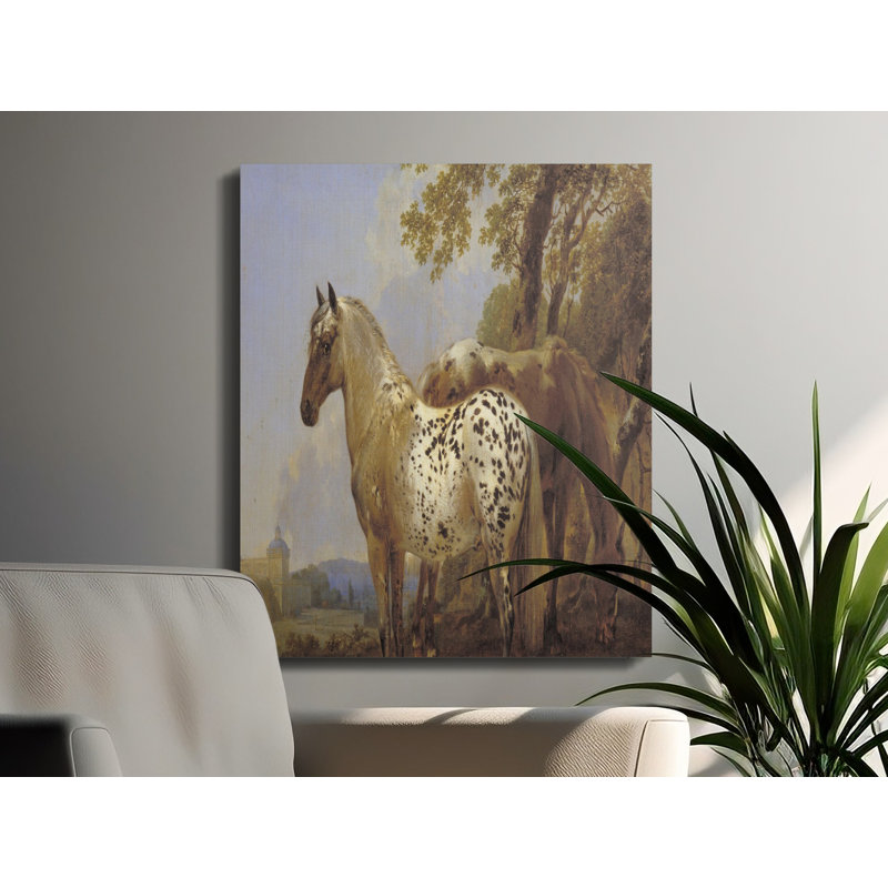 Wrapped Canvas Print Set, 35.56 cm H x 27.94 cm W