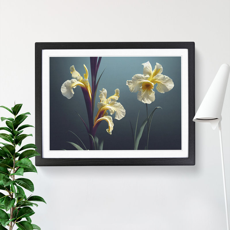 Thrilling Iris Flowers - Single Picture Frame Print, Black Framed, 25cm H x 34cm W x 2cm D