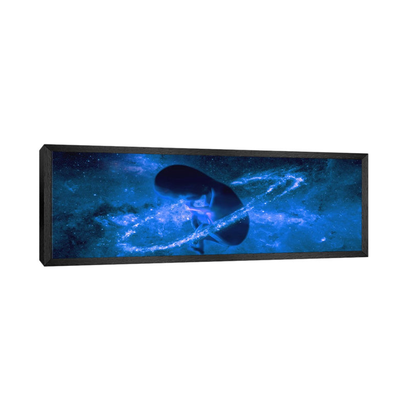 Baby In Universe by Panoramic Images - Panoramic Gallery-Wrapped Canvas Giclée on Canvas, Black Floater Frame