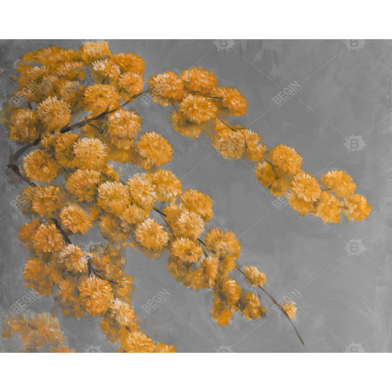 Golden Wattle Plant With Flowers Print On Canvas