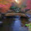 Pont de jardin en bois-98278470-98278473