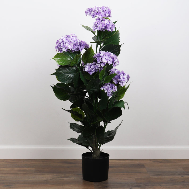 Hortensia en pot - petit, Mauve